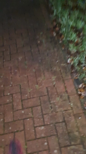 Geil32hb  13-11-2021 video Lovense